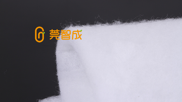 無膠棉廠智成纖維，品牌彰顯實力